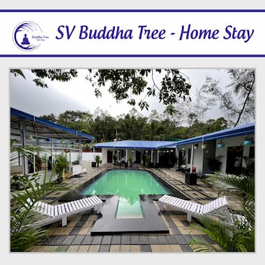BUDDHA TREE HOME STAY